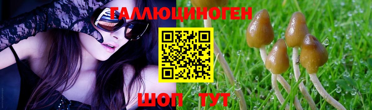 Галлюциногенные грибы GOLDEN TEACHER Жигулёвск